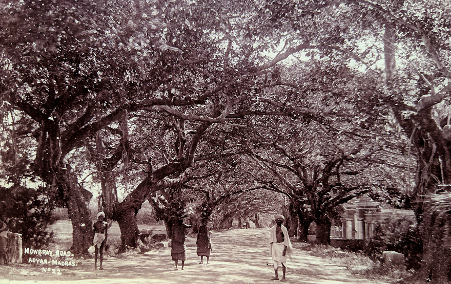 Antique Photo Madras Mowbray's Road 1902