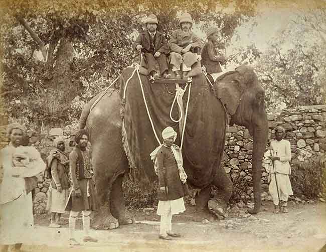 British Officials On Elephant Back, India, 1890 Photo