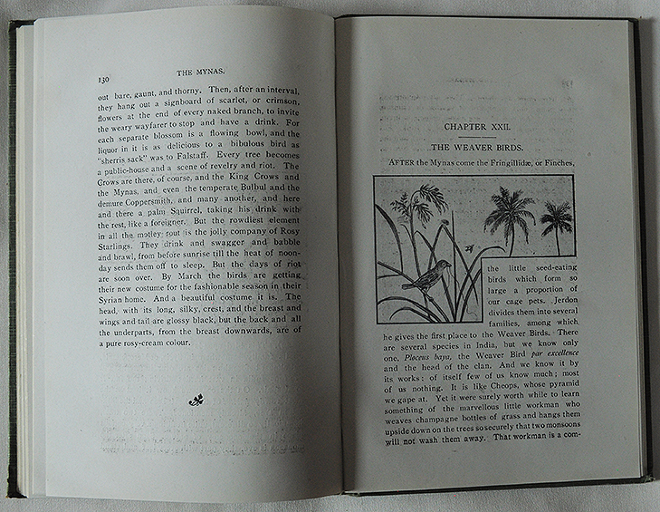 Vintage Book 1933 - The Common Birds Of Bombay