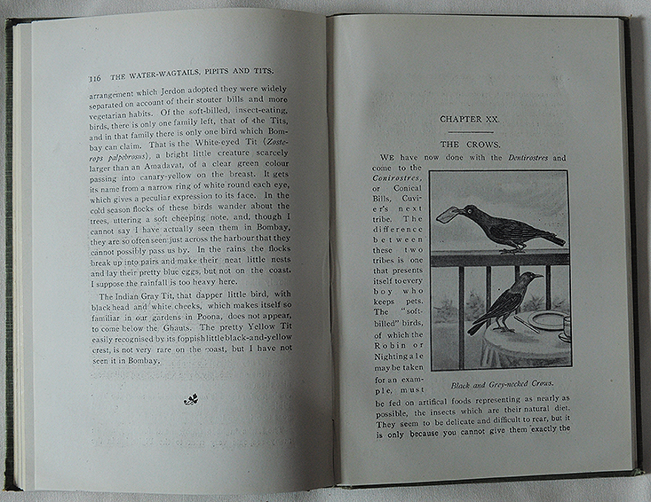 Vintage Book 1933 - The Common Birds Of Bombay