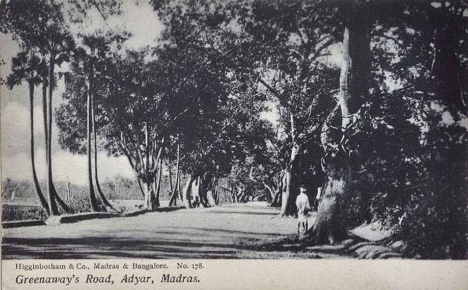 Greenways Road Adyar Madras, 1910 Postcard