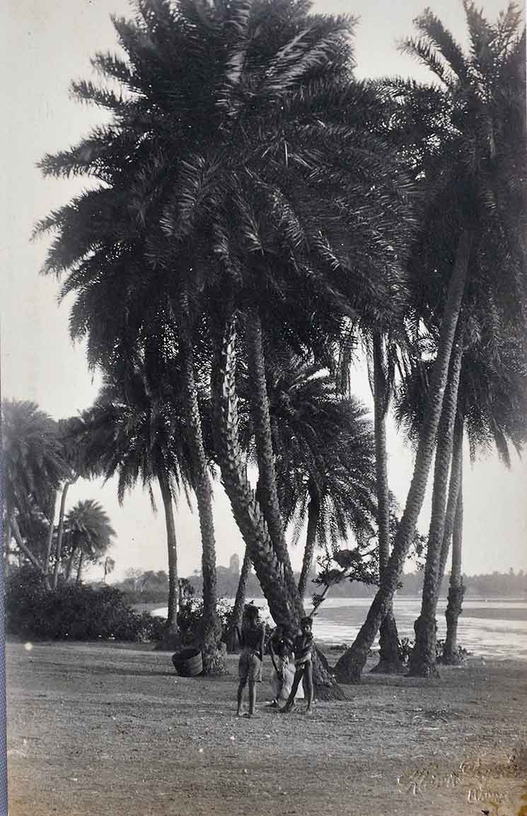 River Cooum From Fort St George Madras - 2 Postcards 1900