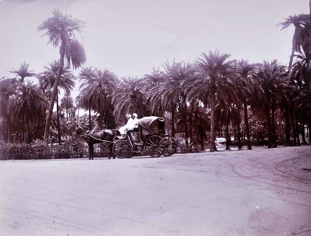 Government House Road In Chepauk Madras, 1910 Photo