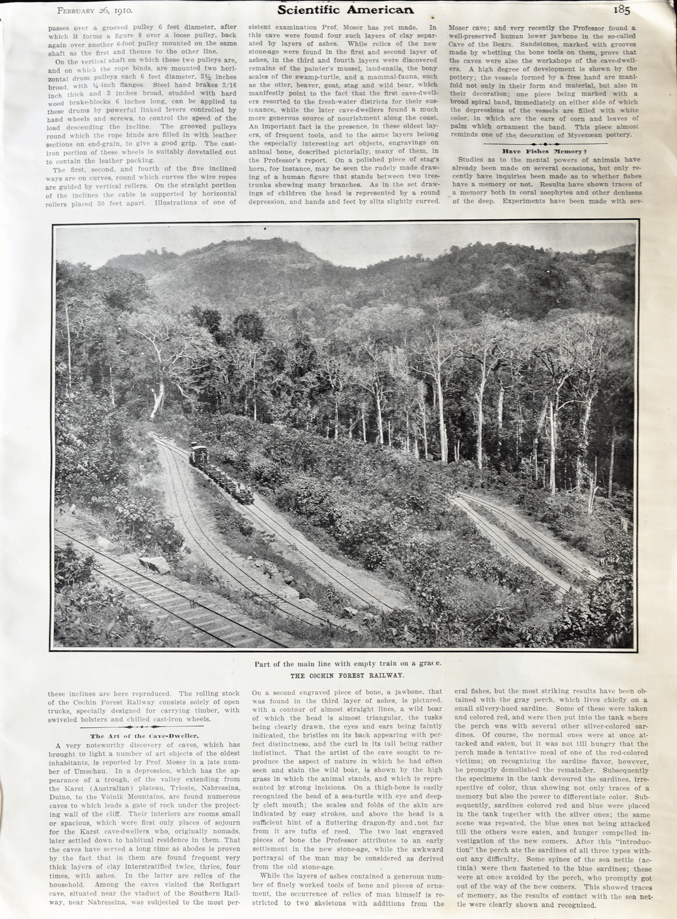 The Cochin Forest Railway British Era, 1910 Newspaper10